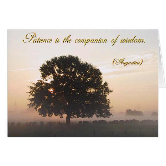 Geduld is de metgezel van wijsheid (Voorkant Horizontaal)