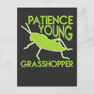Geduld Jonge Grasshopper Grappige nieuwigheid Briefkaart