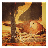 Geduld Perfect Poster (Voorkant)