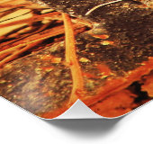 Geduld Perfect Poster (Hoek)