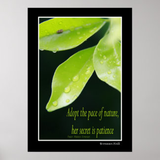 Geduld Poster
