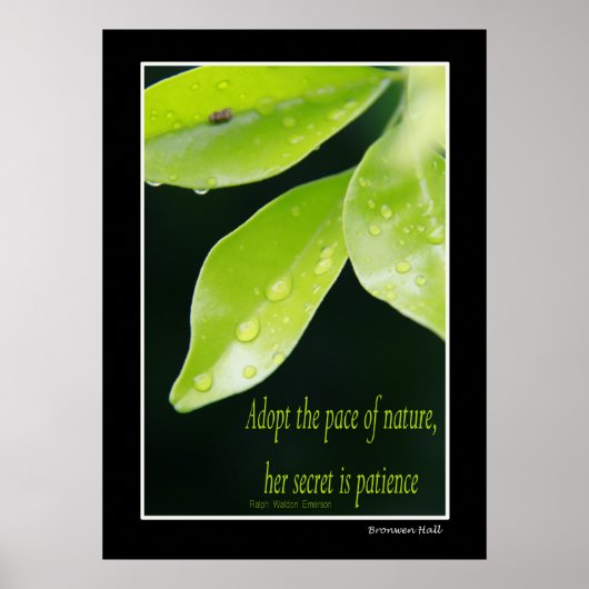 Geduld Poster (Voorkant)