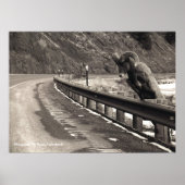 Geduld Poster (Voorkant)