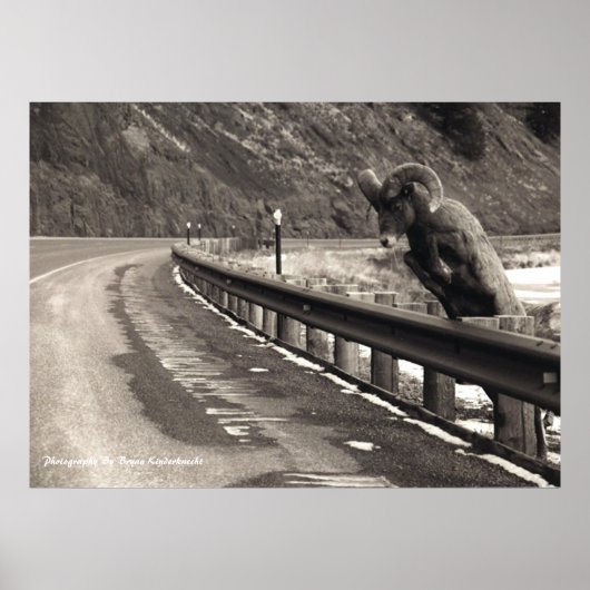 Geduld Poster (Voorkant)