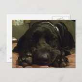 geduldig wachten briefkaart (Voorkant / Achterkant)