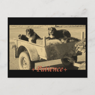 geduldig wachten briefkaart