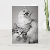 Geduldig wachten op taart (verjaardag van collega) kaart (Voorkant)