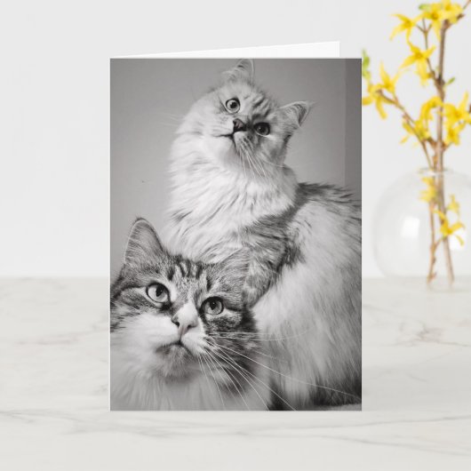 Geduldig wachten op taart (verjaardag van collega) kaart (Gele Bloem)