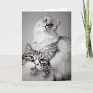 Geduldig wachten op taart (verjaardag van collega) kaart