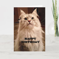 Geduldig wachten op verjaardagstaart Kaart