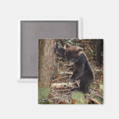 gedumpt magneet (Voorkant / Achterkant)