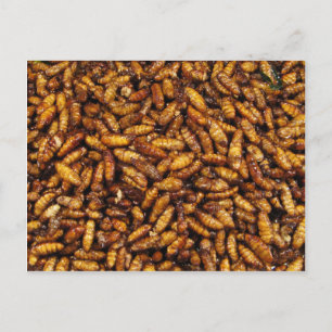 Gedwongen zijderupsen ... Thai Street Food Briefkaart