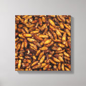 Gedwongen zijderupsen ... Thai Street Food Canvas Afdruk (Voorkant)