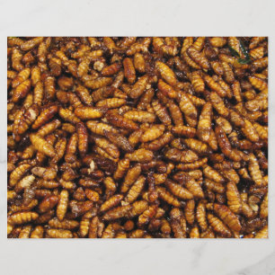 Gedwongen zijderupsen ... Thai Street Food Flyer