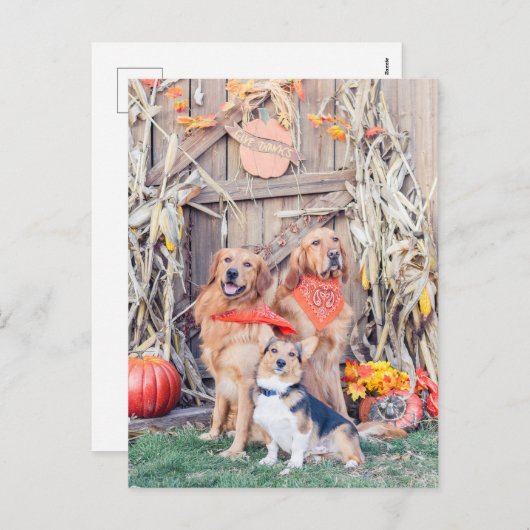 Geef Bedankt Leuke Honden en Thanksgiving Oogst Feestdagenkaart (Voorkant / Achterkant)