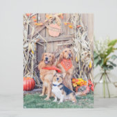 Geef Bedankt Leuke Honden en Thanksgiving Oogst Kaart (Staand voorkant)