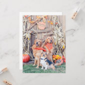 Geef Bedankt Leuke Honden en Thanksgiving Oogst Kaart (Voorkant / Achterkant in situ)