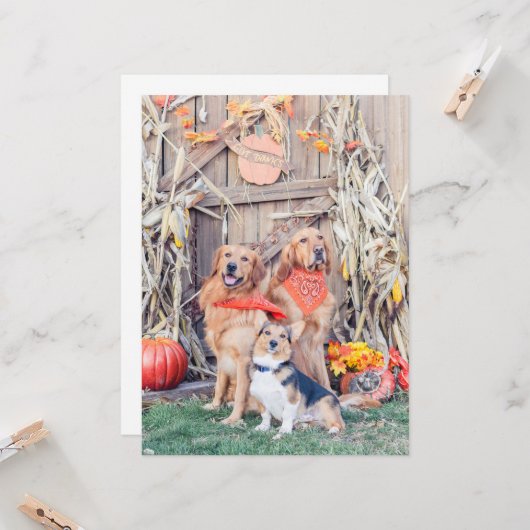 Geef Bedankt Leuke Honden en Thanksgiving Oogst Kaart (Voorkant / Achterkant in situ)