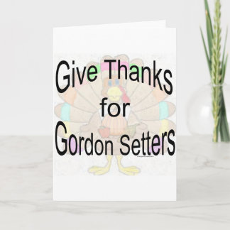 Geef Bedankt voor Gordon Setters