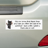 Geef Black Pets een kans! Bumpersticker (On Car)
