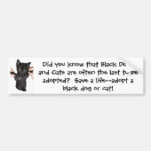 Geef Black Pets een kans! Bumpersticker (Voorkant)
