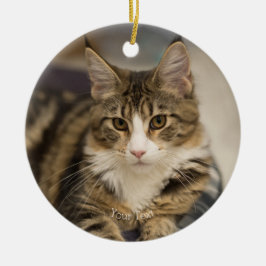 Geef de Cute Maine Coon kitten een persoonlijk uit Keramisch Ornament
