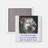 Geef de hondenmagneet niet te eten magneet (Voorkant / Achterkant)