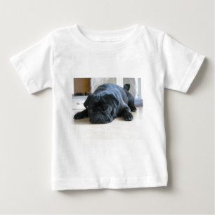 Geef de naam van het schattige zwarte Pug Puppy ac