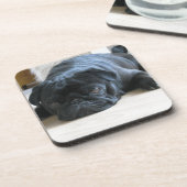 Geef de naam van het schattige zwarte Pug Puppy ac Drankjes Onderzetter (Linkerzijde)