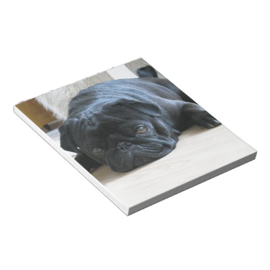 Geef de naam van het schattige zwarte Pug Puppy ac Notitieblok (Schuin)
