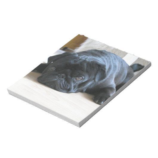 Geef de naam van het schattige zwarte Pug Puppy ac Notitieblok (Linkerzijde)