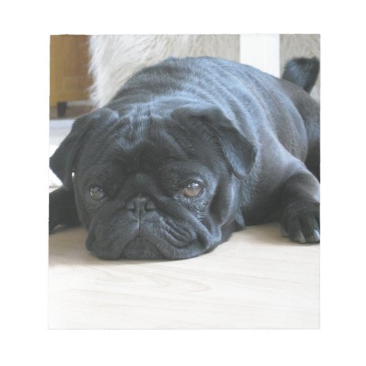Geef de naam van het schattige zwarte Pug Puppy ac Notitieblok (Voorkant)