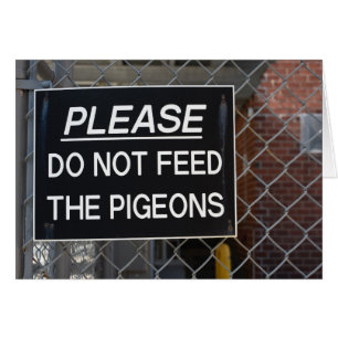 Geef de Pigeons New York City niet meer.
