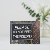 Geef de Pigeons New York City niet meer. Briefkaart (Staand voorkant)