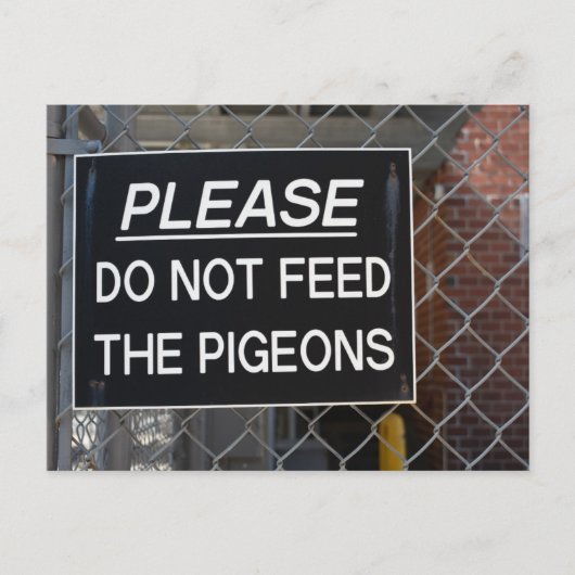 Geef de Pigeons New York City niet meer. Briefkaart (Voorkant)