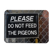 Geef de Pigeons New York City niet meer. Magneet (Horizontaal)