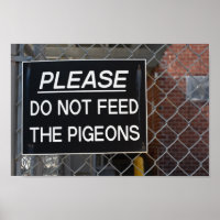 Geef de Pigeons New York City niet meer.