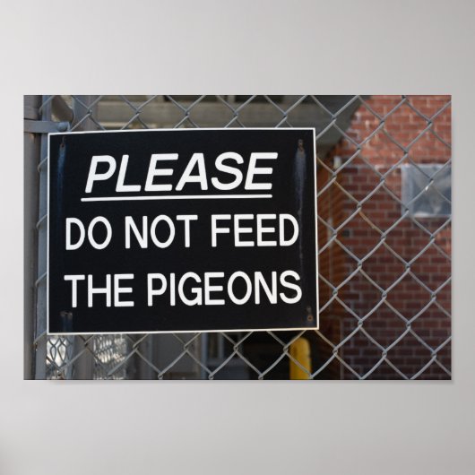 Geef de Pigeons New York City niet meer. Poster (Voorkant)