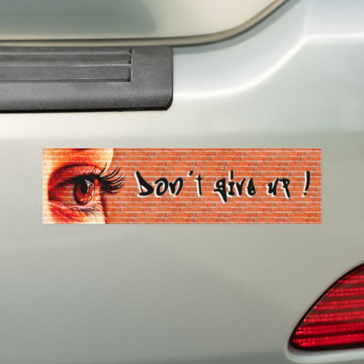 Geef de straat graffiti Bumpersticker niet op (Op auto)