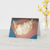 Geef de taart door kaart (Gele Bloem)