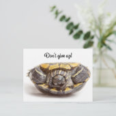Geef de Turtle Enmoegement niet op Briefkaart (Staand voorkant)