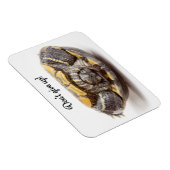 Geef de Turtle Enmoegement niet op Magneet (Rechterzijde)