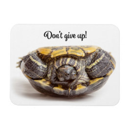 Geef de Turtle Enmoegement niet op Magneet