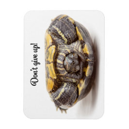 Geef de Turtle Enmoegement niet op Magneet