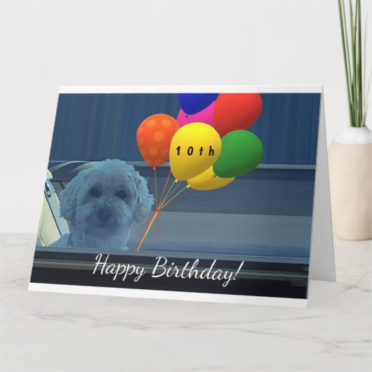 Geef Doggie Happy Birthday een persoonlijk tintje Kaart (Voorkant)