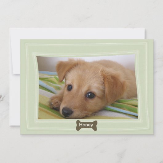 Geef een Dog een Bone Foto Pet Aankondiging (Voorkant)