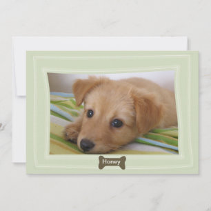 Geef een Dog een Bone Foto Pet Aankondiging