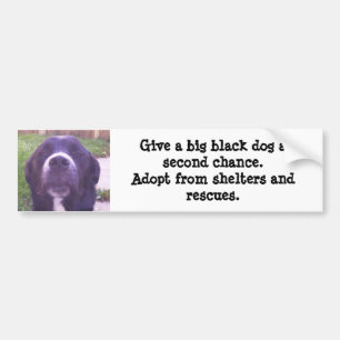 Geef een grote zwarte hond een tweede kans... bumpersticker