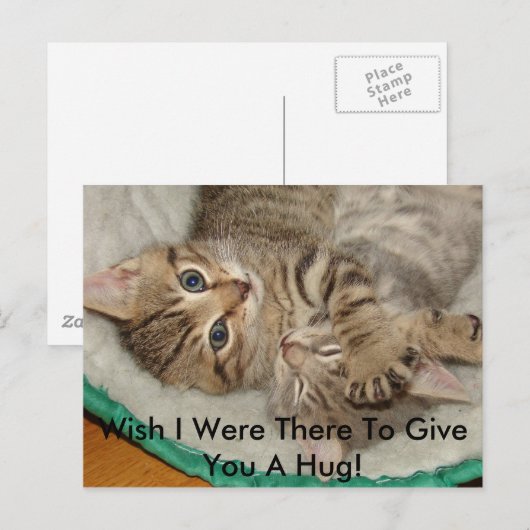 Geef een Kat Briefkaart (Voorkant / Achterkant)