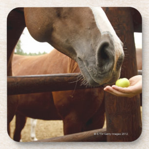 Geef een paard een appel. drankjes onderzetter